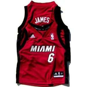  Infant LeBron James Miami Heat Replica Red Jersey