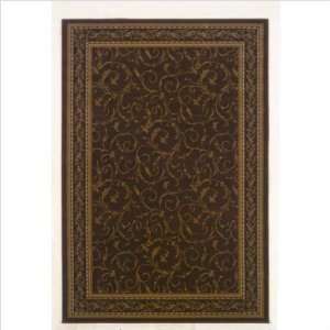 American Luxury Persian Special Edition Coffee Bean Oriental Rug Size 