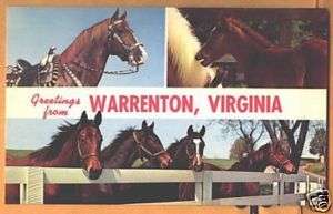 c1960 Greetings from Warrenton VA postcard w/ horses  