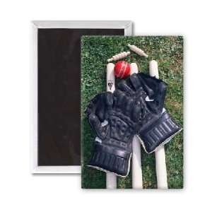  The Wicket Keepers Kit    3x2 inch Fridge Magnet   large 