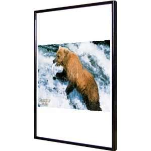  Grizzly Man 11x17 Framed Poster