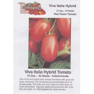  Viva Italia Hybrid Tomato   45 Seeds   Red Paste Patio 