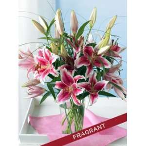 Fragrant Stargazer Lilies  Grocery & Gourmet Food