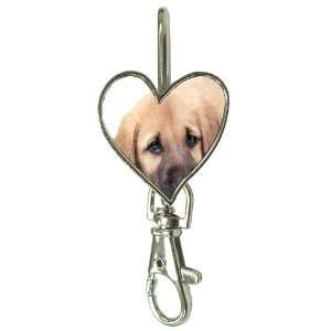  Anatolian Shepherd Puppy Dog Key Finder P0017 Everything 