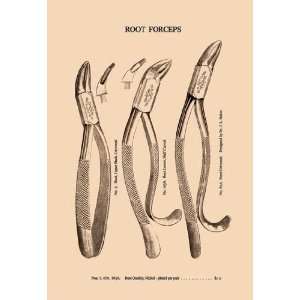  Root Forceps 28x42 Giclee on Canvas