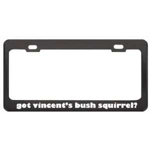 Got VincentS Bush Squirrel? Animals Pets Black Metal License Plate 
