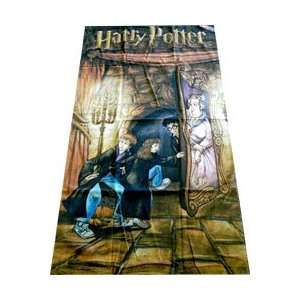   the Fat Lady   Ron & Hermione   Towel/Throw/Blanket