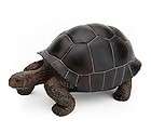 RARE Japan Colorata Aldabra Giant Tortoise Turtle Reptile Animal 
