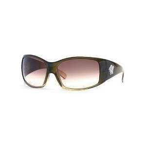 Versace Sunglasses 4055 in Color 34013