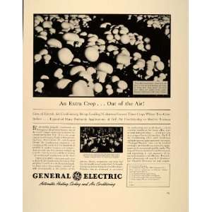 1939 Ad General Electric Mushroom Growing Coral Cafe   Original Print 