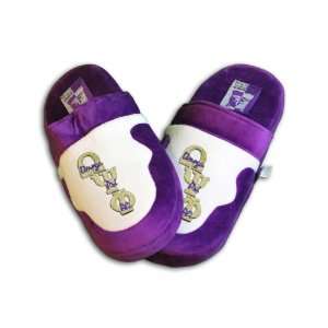 Omega Psi Phi Slippers Newest