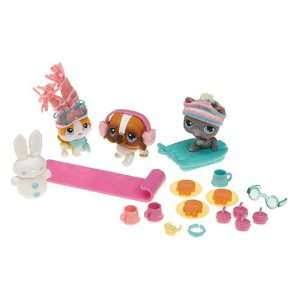  Littlest Pet Shop Snowfall Fun Playset Toys & Games