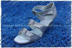 GC Silver Glitter Latin Ballroom Salsa Dance Shoes All Sizes C375 