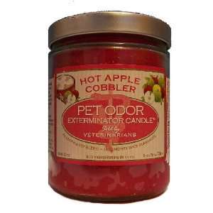   Jar Candle   Hot Apple Cobbler 