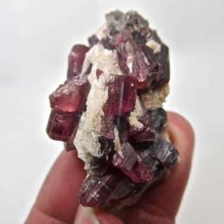 Multi Color Tourmaline Crystals 1.5 Lbs. Lot Minas Gerias, Brazil 