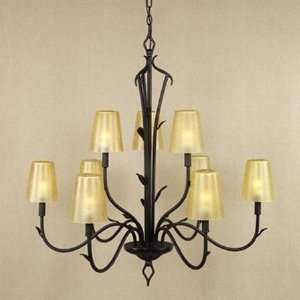  Quoizel Valley Forge Chandeliers   VF5129IB