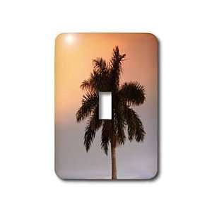  Florene Trees   Sunset Florida Palm   Light Switch Covers 