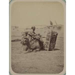  Turkic people,Uzbekistan,commerce,unloading,camel,c1865 