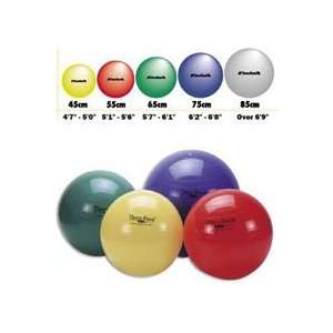 23040 Ball Exercise Theraband PVC; Balance Training Blue Firm 30 Ea 