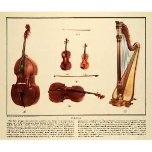   Violin Harp Music Cremona Amati Bow   Original Color Print Home