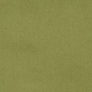  Fabricut Articulate Grass 1501825