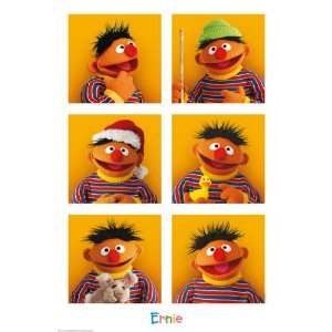    Sesame Street   6 Ernies Poster   35.7x23.8 inches