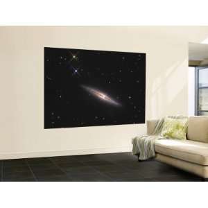   Spiral Galaxy in the Constellation Ursa Major , 48x72