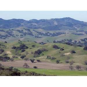  Scenic Landscape of Oak Woodland Habitat, California 