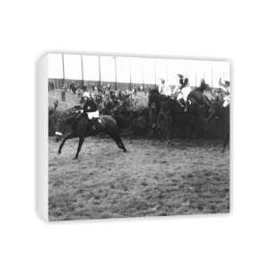 Red Rum   Canvas   Medium   30x45cm 