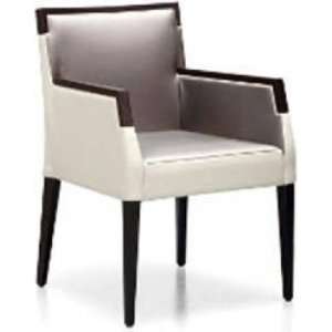  ARIEL PI Beechwood Frame Armchair With Upholstered Back 