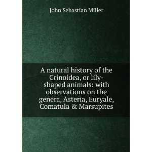   Asteria, Euryale, Comatula & Marsupites John Sebastian Miller Books