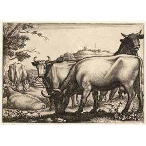   Card Wenceslaus Hollar   Bulls and cows 