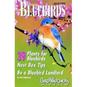  Enjoying Bluebirds More   Guide to Beloved Songbirds 