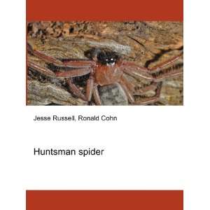  Huntsman spider Ronald Cohn Jesse Russell Books