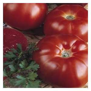  Thompson & Morgan Super Marmande Tomato Seeds Patio 