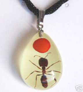 Real ant, red bean in luminous resin necklace 02  