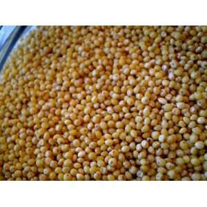 Millet 1 Lb Bag, Biologically Grown Non GMO  Grocery 