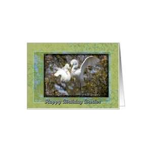  Brother birthday, Egrets Nest Building Card Health 