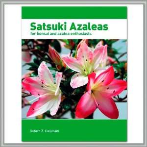  Joebonsai Satsuki Azaleas for Bonsai and Azalea 