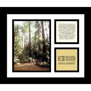  Muir Woods National Monument