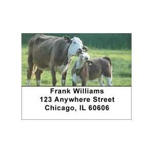  With Baby Calves Address Labels