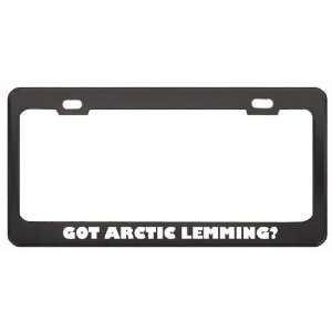  Got Arctic Lemming? Animals Pets Black Metal License Plate 