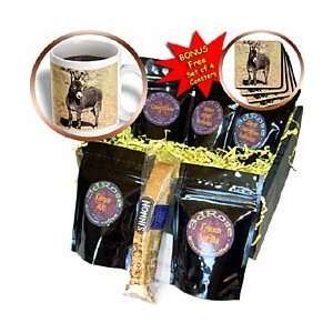 Farm Animals   Miniature Donkey   Coffee Gift Baskets   Coffee Gift 