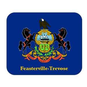  US State Flag   Feasterville Trevose, Pennsylvania (PA 