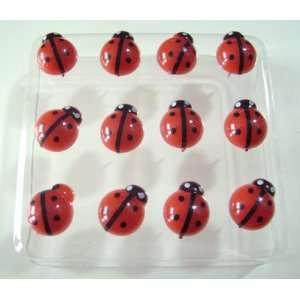  Decorative Push Pins 12 Red Lady Bugs