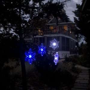  Set of 2 Blue/White Transitioning LED 6 Snowflake Outdoor 