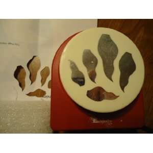  Giant Paw Print Paper Punch by Emagination   3 Diameter 