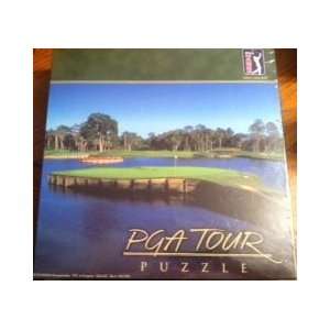  TPC at Sawgrass Hole #17 500 Piece Puzzle 