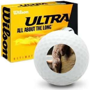  Tokay Gecko   Wilson Ultra Ultimate Distance Golf Balls 