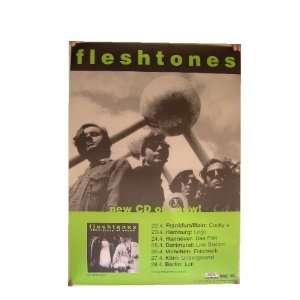    The Fleshtones Poster Concert Berlin Band Shot 